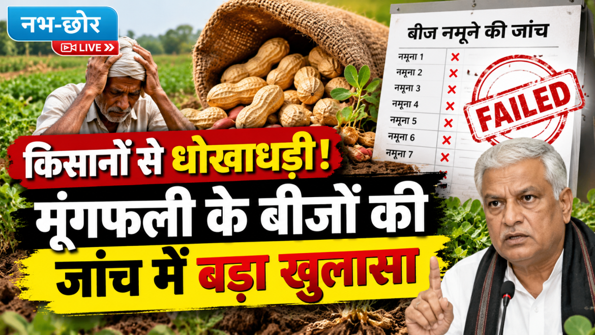 राजस्थान में मूंगफली के 15 में से 14 बीज नमूने फेल