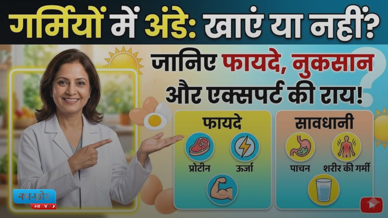Eggs in Summer: क्या गर्मियों में अंडे खाना चाहिए? जानिए फायदे, नुकसान और एक्सपर्ट की राय
